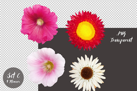 Die-cut Flowers Set C