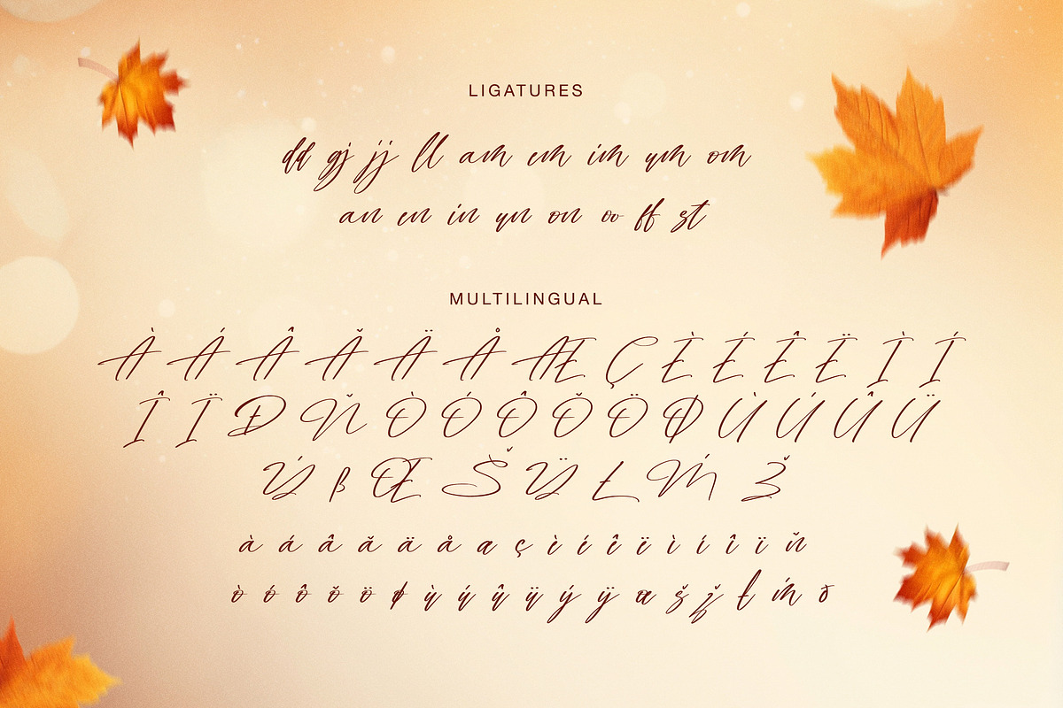 Bidikan Angin Signature Script Font, a Handwritten Font by Geelator Studio (Photo 11 of 11)