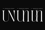 Evertype - Display Serif Font Family, a Serif Font by VP Fonts (Thumbnail 29 of 32)