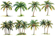 Watercolor Tropical Palm Trees, an Illustration by Designworld (Thumbnail 3 of 6)