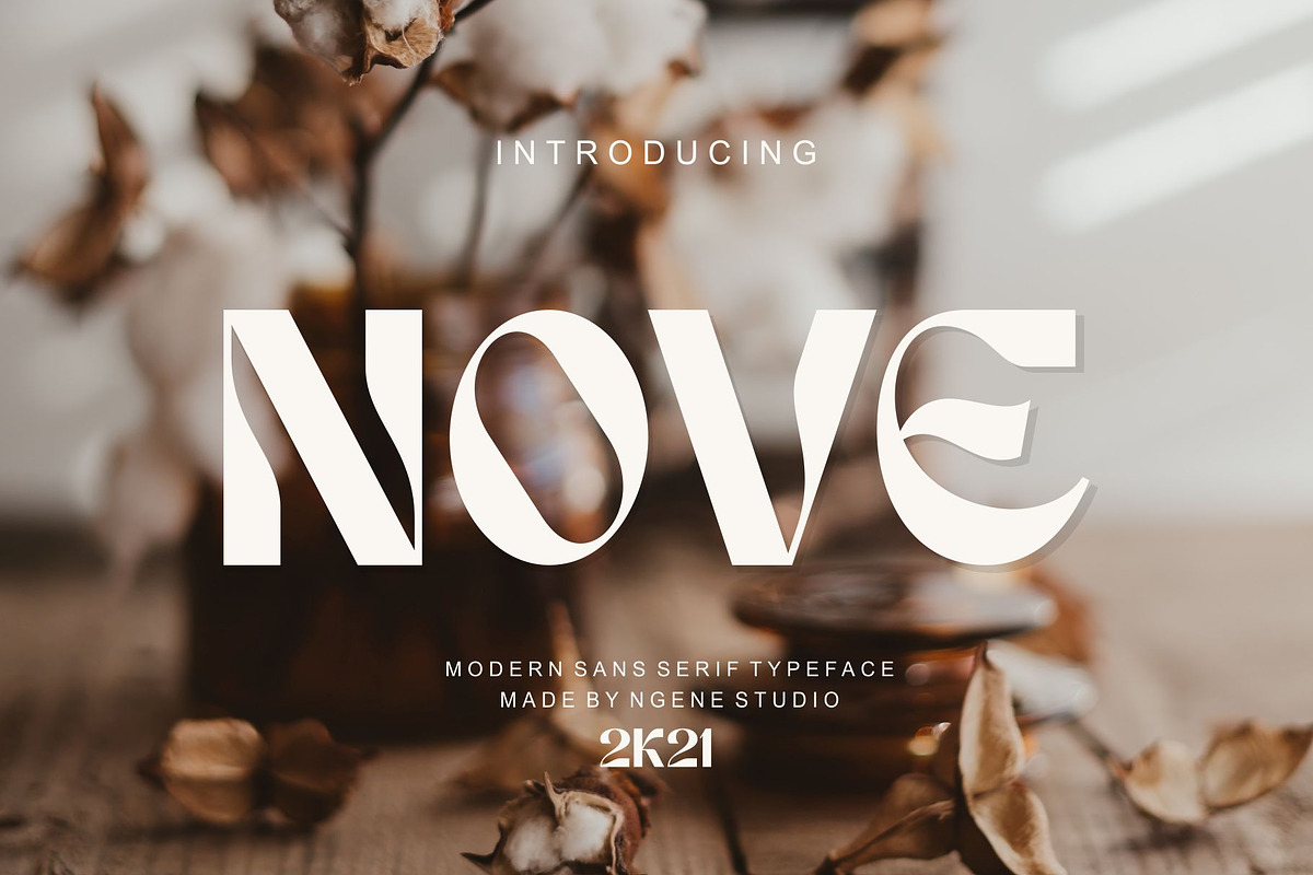 Nove, a Sans Serif Font by ngene (Photo 1 of 8)