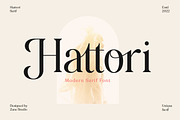 Hattori Elegant Font, a Serif Font by Zane Studio (Thumbnail 1 of 13)