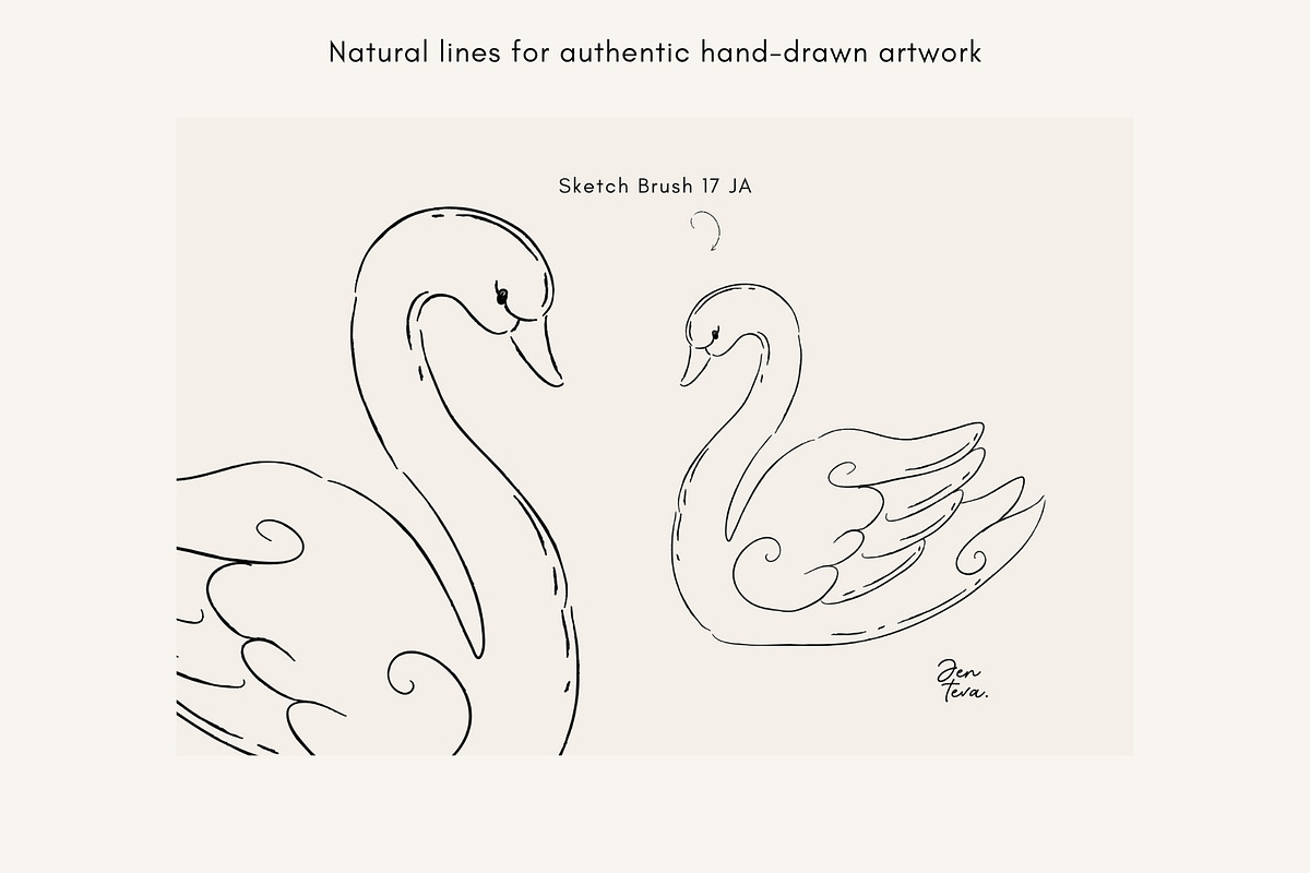 150 Illustrator Brush Bundle, a Brush Add-On by Jenteva Art (Photo 12 of 19)