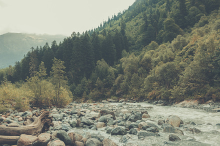River forest & mountains russia containing hill, outdoor, and photography, a Nature Photo by TravelFlow