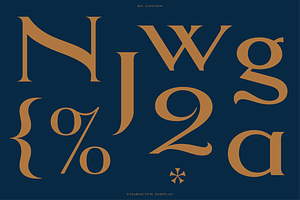 Canyon - An Elegant Serif Typeface