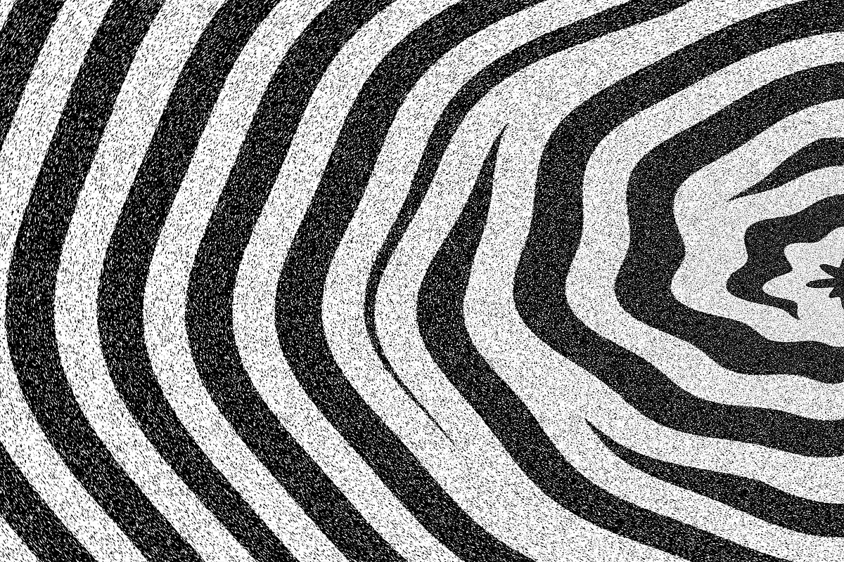 Wild Stripes, a Texture Graphic by Jennifer Lauren Creative (Photo 9 of 16)