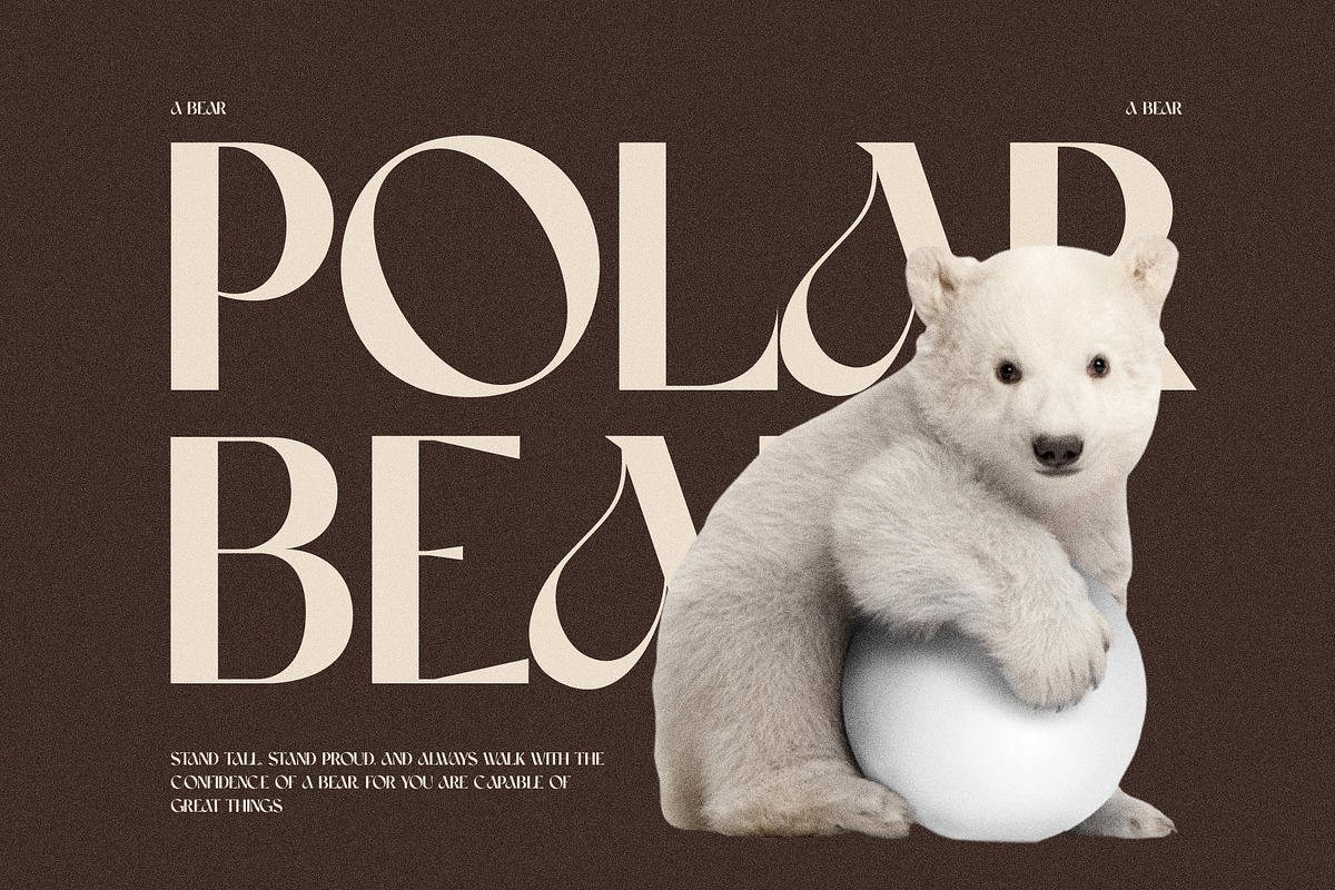Marlon Elegant Serif Font Typeface, a Serif Font by Perfectype (Photo 6 of 10)