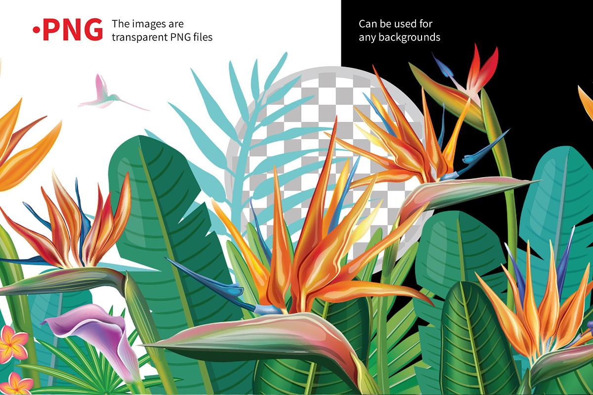 Tropical Flowers Arrangement borders, a Seasonal Illustration by ViktoriaARTprint (Photo 3 of 4)