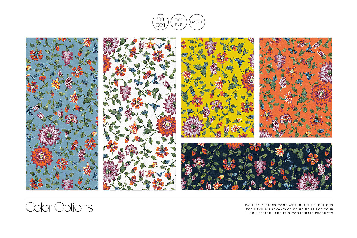Zari Prints & Motifs, a Pattern Graphic by Pink Linen (Photo 4 of 10)