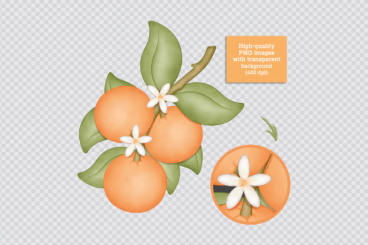 Sweet Orange - Cliparts Set, an Illustration by Estudio Daiane Barbosa (Photo 6 of 8)