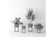 Interior Plants Trio, a Furniture 3D Model by 3DCargo (Thumbnail 9 of 9)