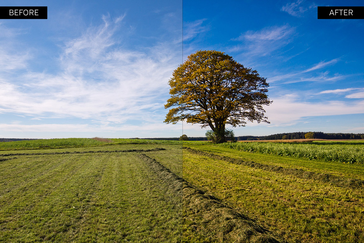 Color Lightroom Presets, an Action Add-On by Shutter Pulse (Photo 2 of 2)