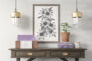 Flowers of Clematis. Botanical Set, a Decorative Illustration by ON_lineart_store (Thumbnail 3 of 10)
