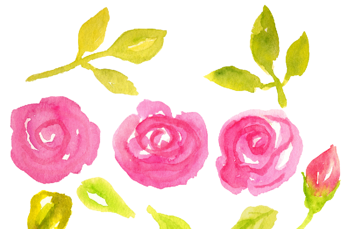 Watercolor Pink Roses, an Illustration by Sandra Jones Art (Photo 3 of 4)
