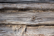 Old Wood Texture Wood Log Wall, a Texture Graphic by VetalStock (Thumbnail 3 of 9)
