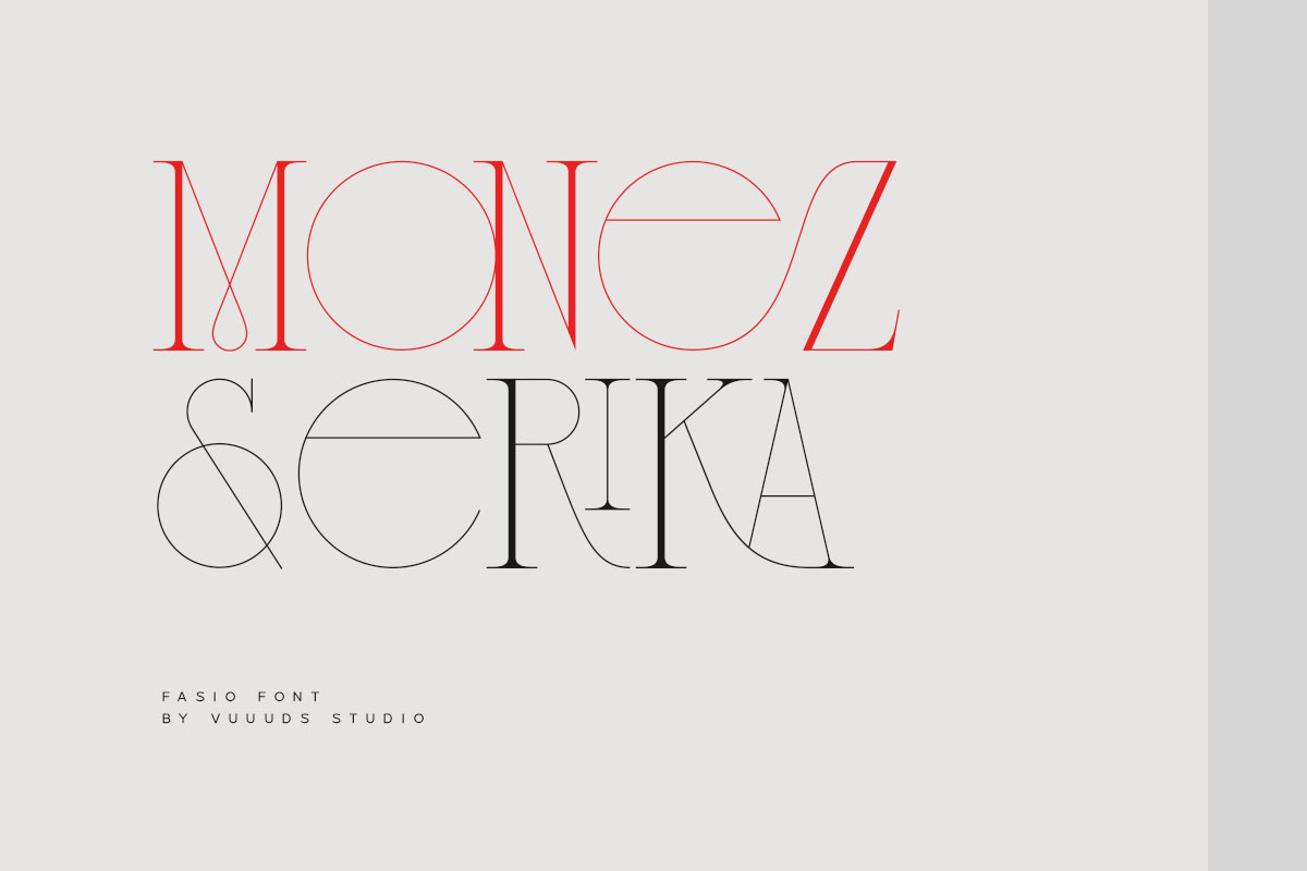 Fasio Font, a Serif Font by vuuuds (Photo 13 of 15)
