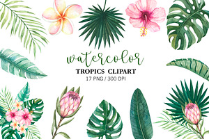 Watercolor Tropical Leaves Clipart, an Illustration by PatternPalette