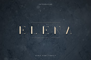 Elena Luxe Serif font, a Serif Font by VP Fonts (Thumbnail 1 of 8)