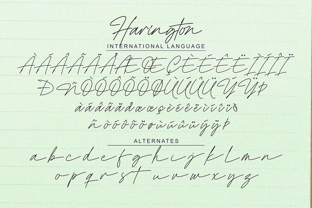 Harington Signature, a Script Font by Omotu Studio (Photo 11 of 12)