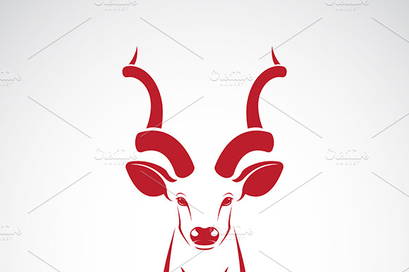Kudu Antelope Horns