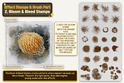 Authentic WATERCOLOR BRUSHES by Seo, a Brushes & More by Illustration by Seo (Thumbnail 20 of 33)