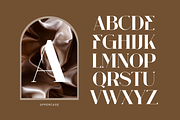 Maqria Vintage - Branding Logo Font, a Serif Font by Nirmana Visual (Thumbnail 4 of 11)