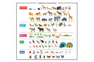 ZOO Flat Animals Vector Collection