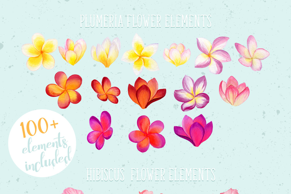 Tropical Watercolor Flowers Bundle, an Illustration by Watercolor Nomads (Photo 5 of 13)