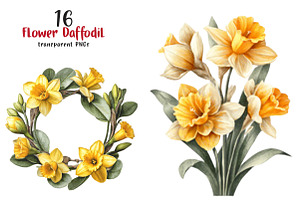 Watercolor Flower Daffodil Clipart, a Transportation Illustration by SinaCreation