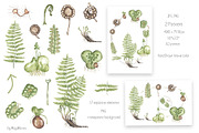 Watercolor Life Cycle Collection, an Education Illustration by MayaNavits (Thumbnail 8 of 15)