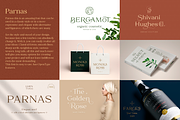 Elegant Serif Bundle, a Serif Font by Larin Type Co. (Thumbnail 16 of 18)