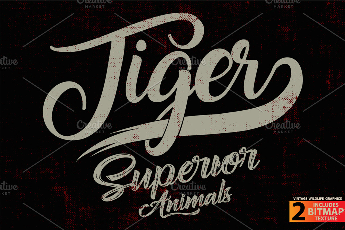 Tiger - Vector illustration, an Animal Illustration by Artistic & Unique (Photo 3 of 10)