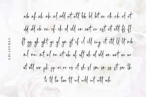 Audrey - A Script Font