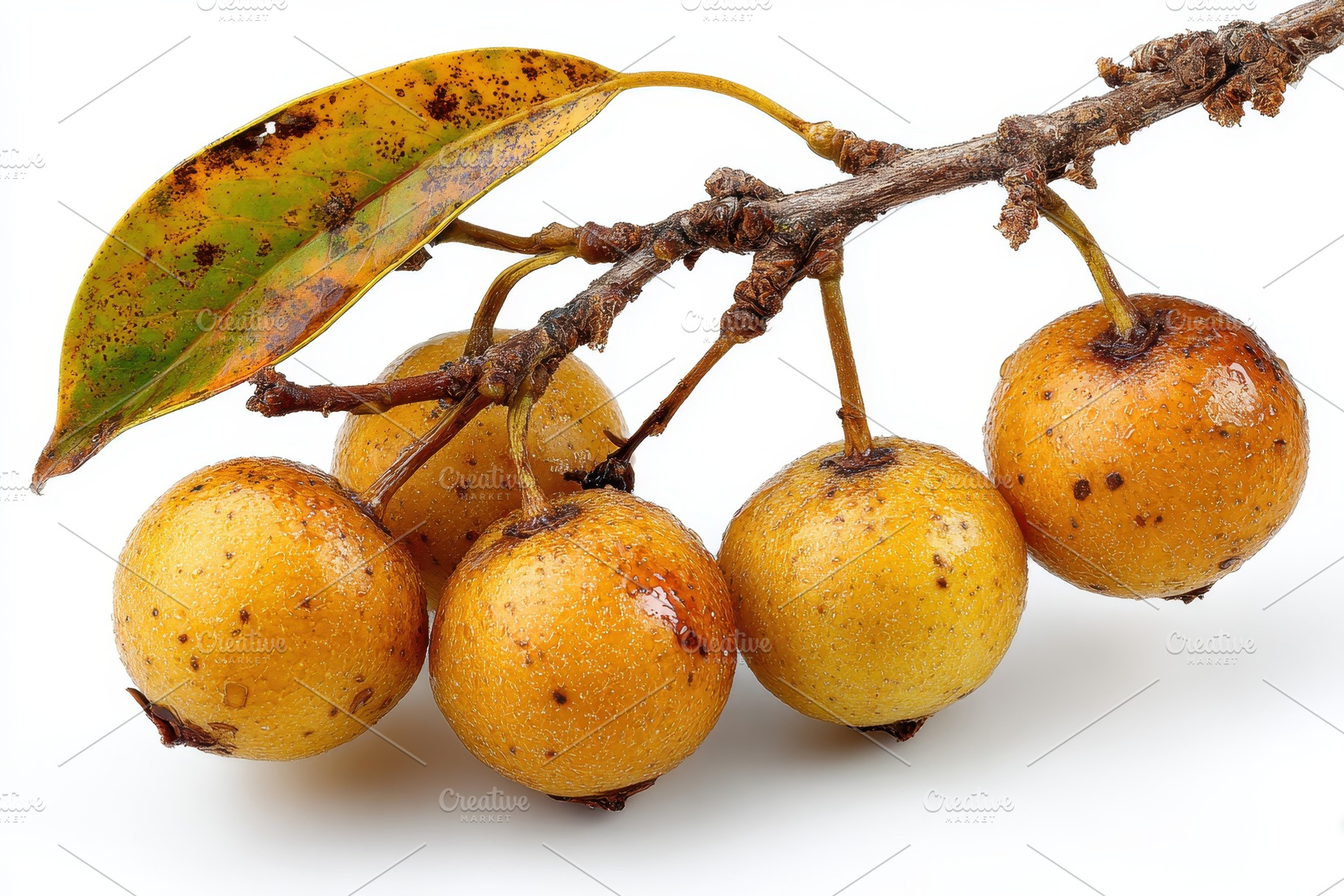 Ripe Golden Pears on Branch Autumn H, a Photo by Pixeness Studio