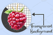 Watercolor Summer Clipart Bundle, an Illustration by Canvas Craft (Thumbnail 2 of 7)