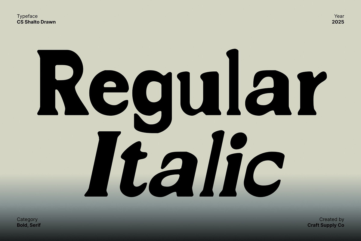 CS Shalto Drawn, a Serif Font by Craft Supply Co. (Photo 3 of 8)
