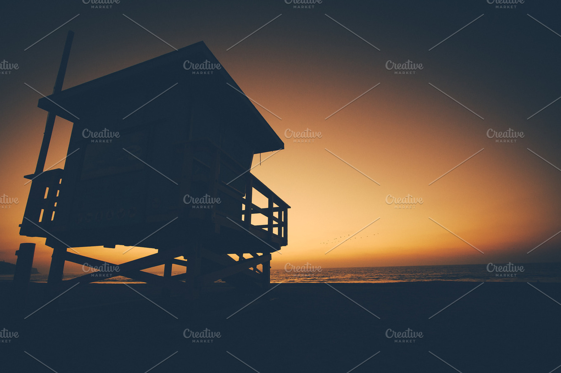 Lifeguard Silhouette