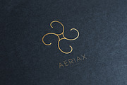 Aerial Logo Collection Classic, a Branding & Logo Template by Michael Rayback Design (Thumbnail 14 of 21)