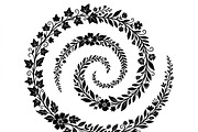 50 Elegant Floral Leaf Spiral Frame, a Decorative Illustration by Amazin_art (Thumbnail 15 of 25)