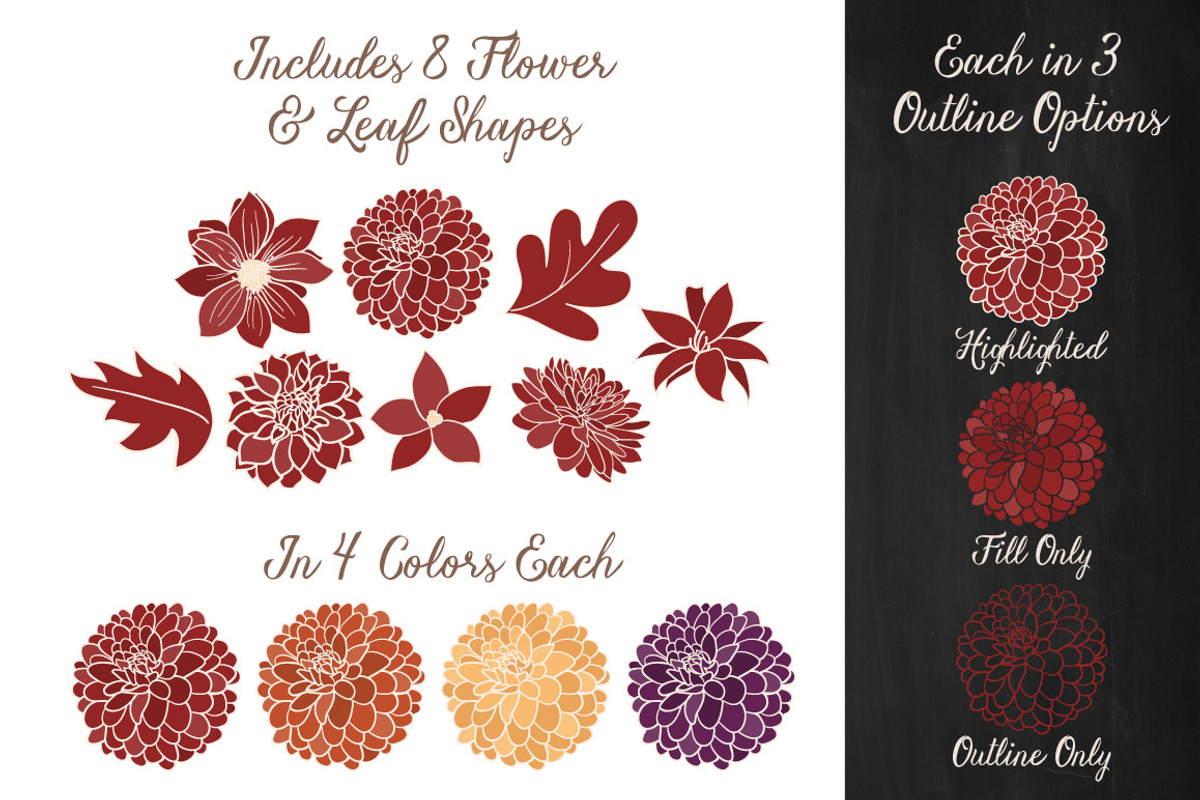 Autumn Dahlia Flower Clipart, an Illustration by Amanda Ilkov (Photo 3 of 4)