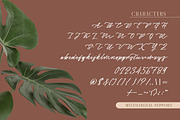 Captivate Script, a Script Font by Letterhend Studio (Thumbnail 6 of 9)