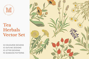 Tea Herb Illustrations Patterns