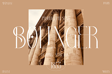 Bolinger Classic Serif Font