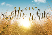 After Effects Lyrics Music Video, a Templates & Theme by johnnybd's AE Templates (Thumbnail 2 of 2)