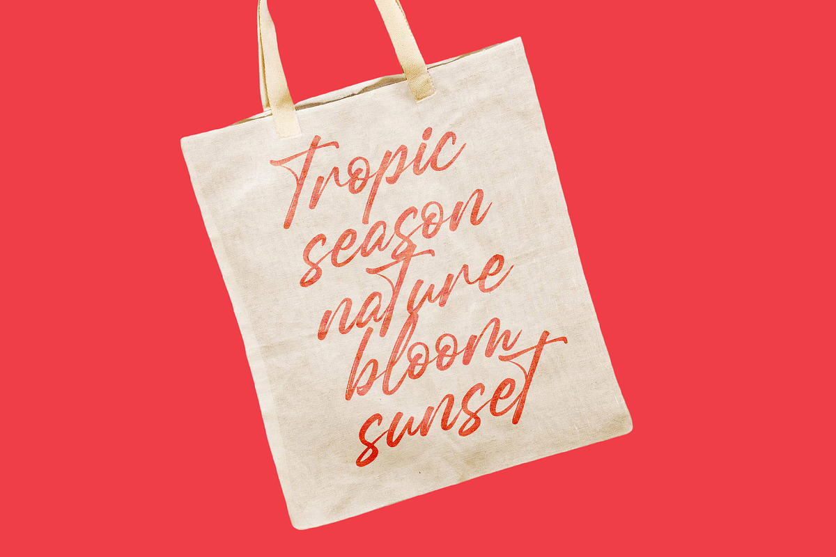 Gently Milarea Modern Brush Font, a Script Font by Letterena Studios Script (Photo 4 of 20)