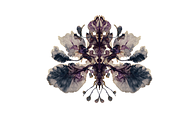 Heum Co. Botanical Inkblot Art, a Decorative Illustration by milatovar (Thumbnail 16 of 20)