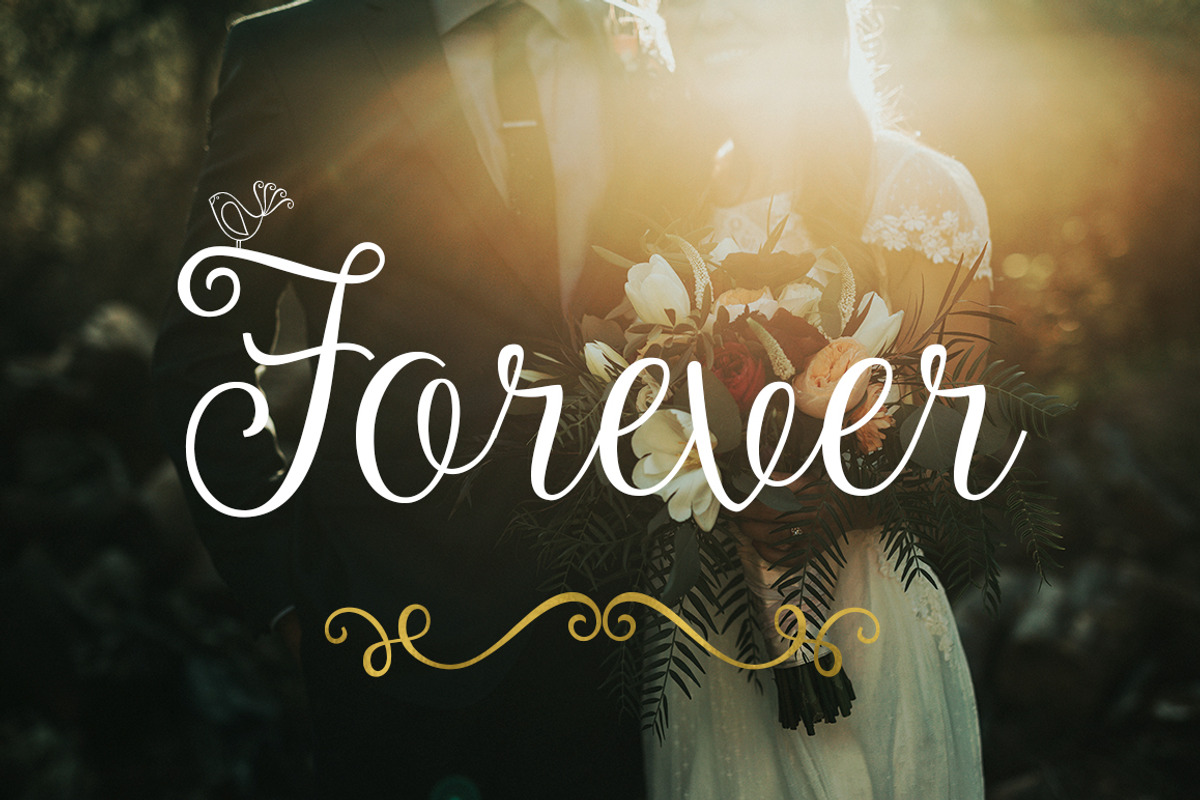Amelia Script + Ornaments preview 6
