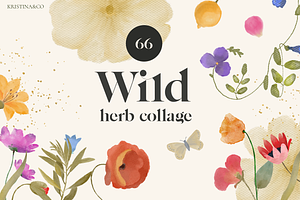 Wild Herb Collage