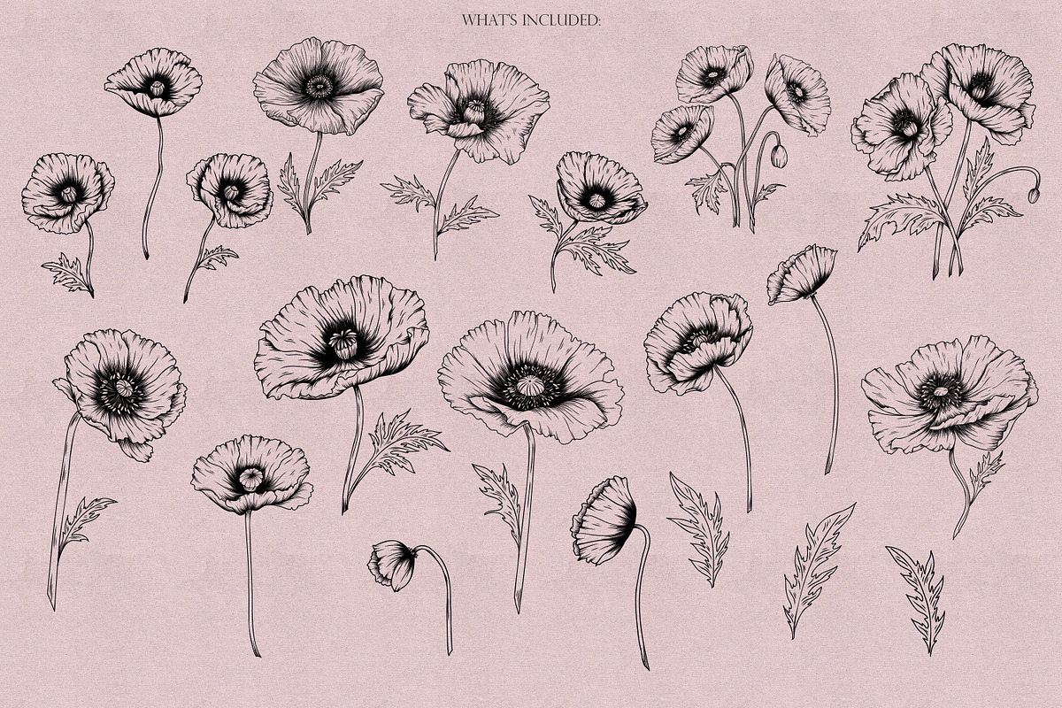 Poppies & Anemones Procreate Stamps, a Brush Add-On by Dervik Art Store (Photo 2 of 9)