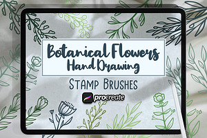 Botanical Flowers Hand Drawing Brush